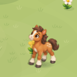 Horsie's Meadow